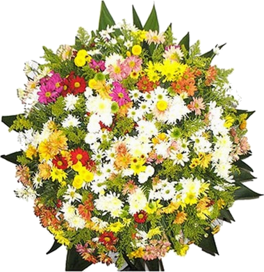 Coroa Flores Recife B